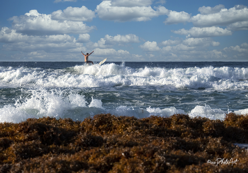 Flying High - ID: 16008292 © Candice C. Calhoun