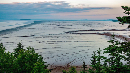 Sediment Plains, Bay of Fundy