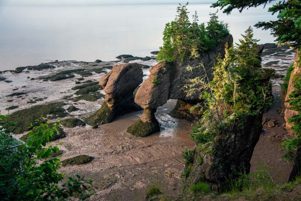 Hopewell Rocks, New Brunswick - ID: 16008391 © Sheila Faryna