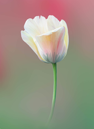 Painterly Tulip