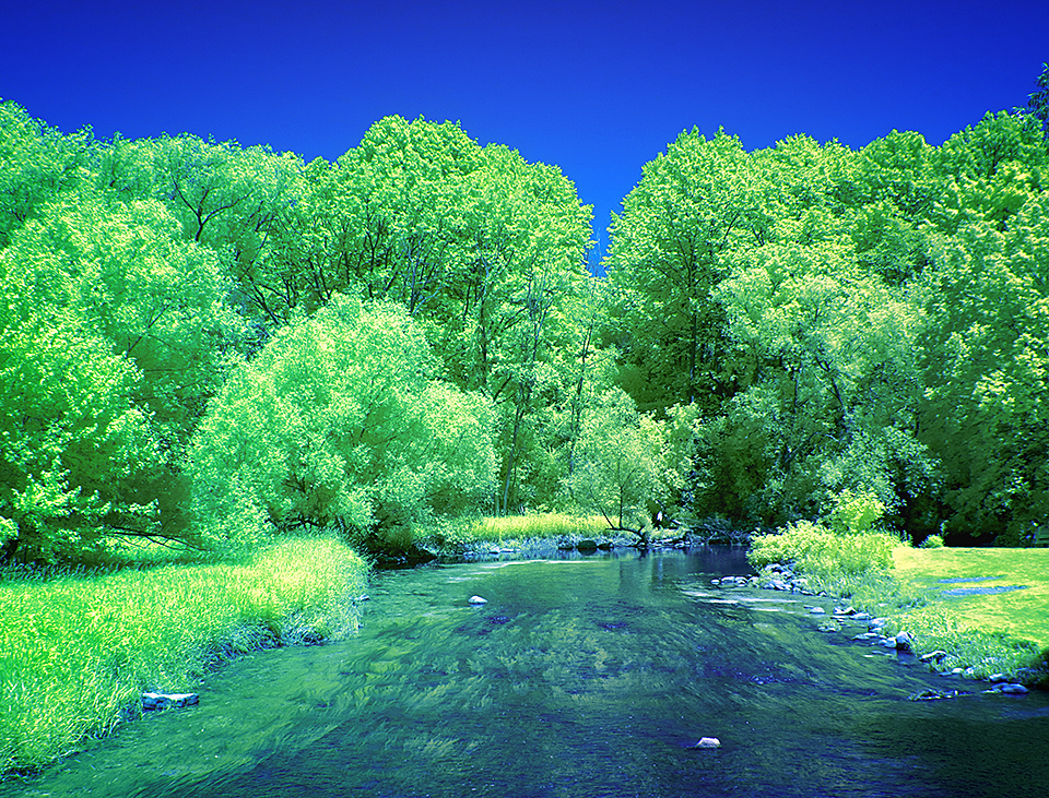 Covered Bridge Park, Cedarburg WI - ID: 16007929 © John D. Jones