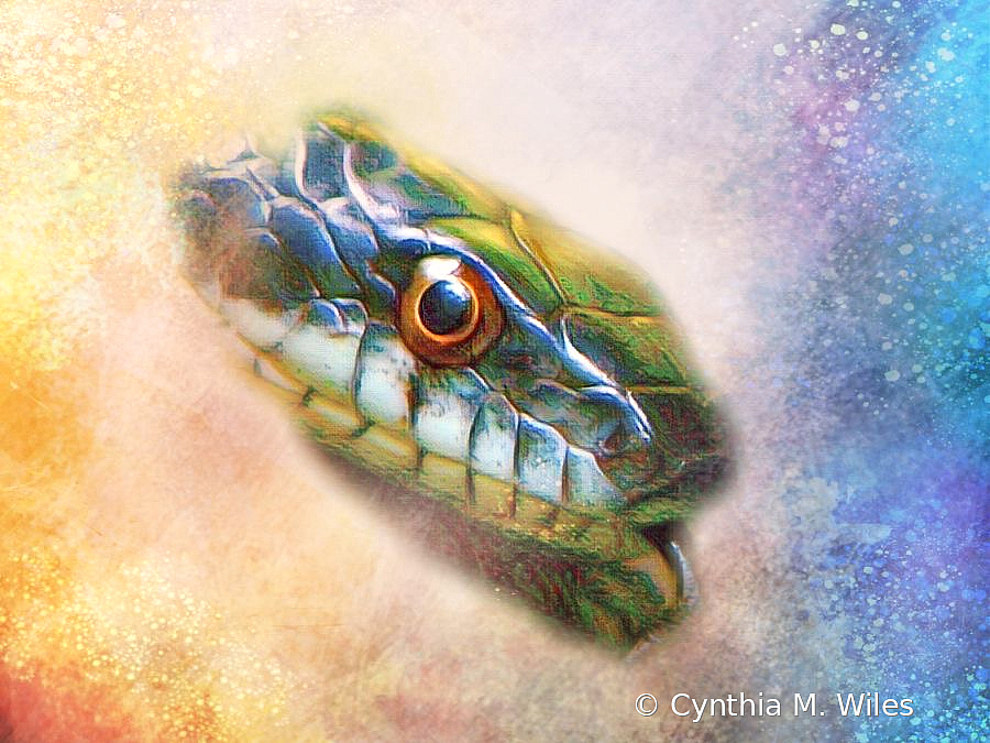 Snake Eye