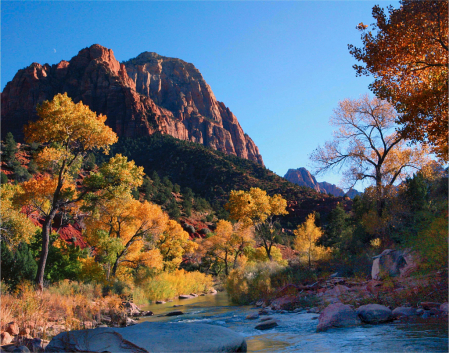 Zion! Zion! Beautiful, beautiful Zion!