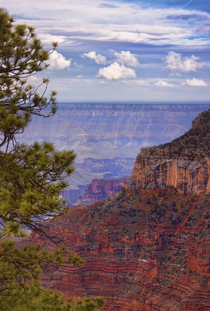 Canyon Overlook