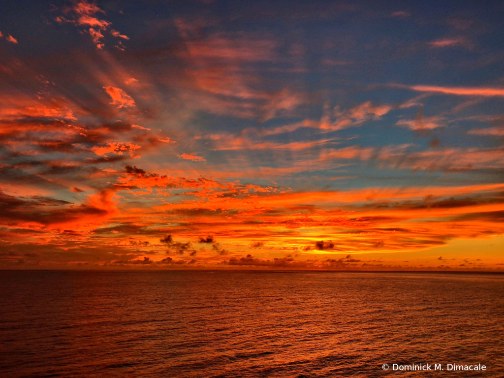 ~ ~ CARIBBEAN SUNRISE ~ ~  