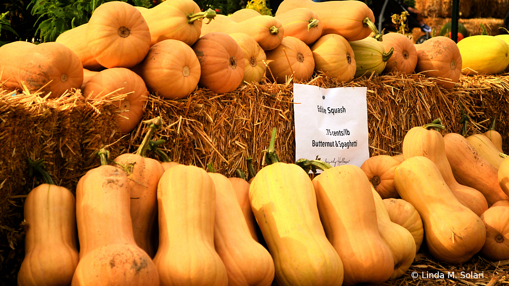 Butternut Squash Soup Anyone?