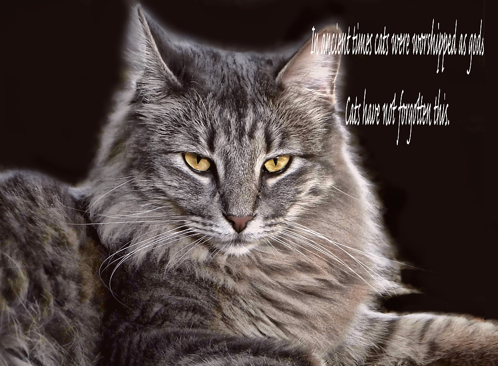 Cats Were Worshipped