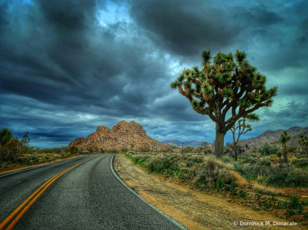 ~ ~ STORM AROUND THE BEND ~ ~ 