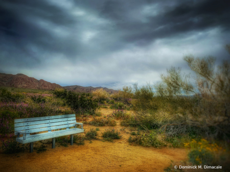 ~ ~ THE BLUE BENCH ~ ~ 