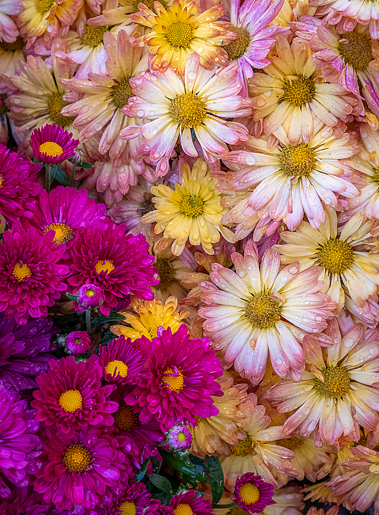 Mum's the Word - ID: 16008199 © Martin L. Heavner