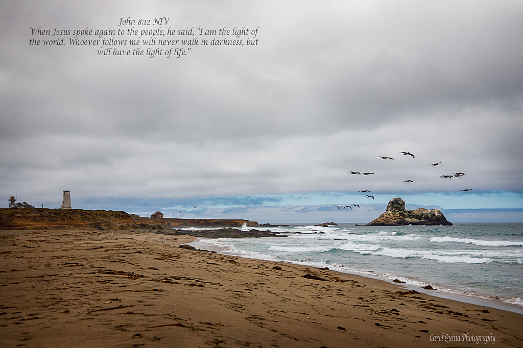 Piedras Blancas Light Station