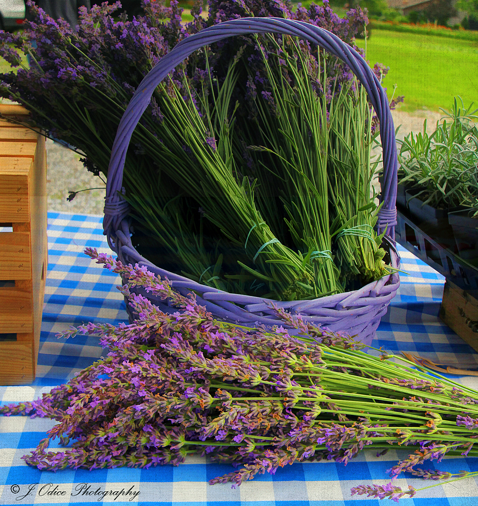 Lavender Basket