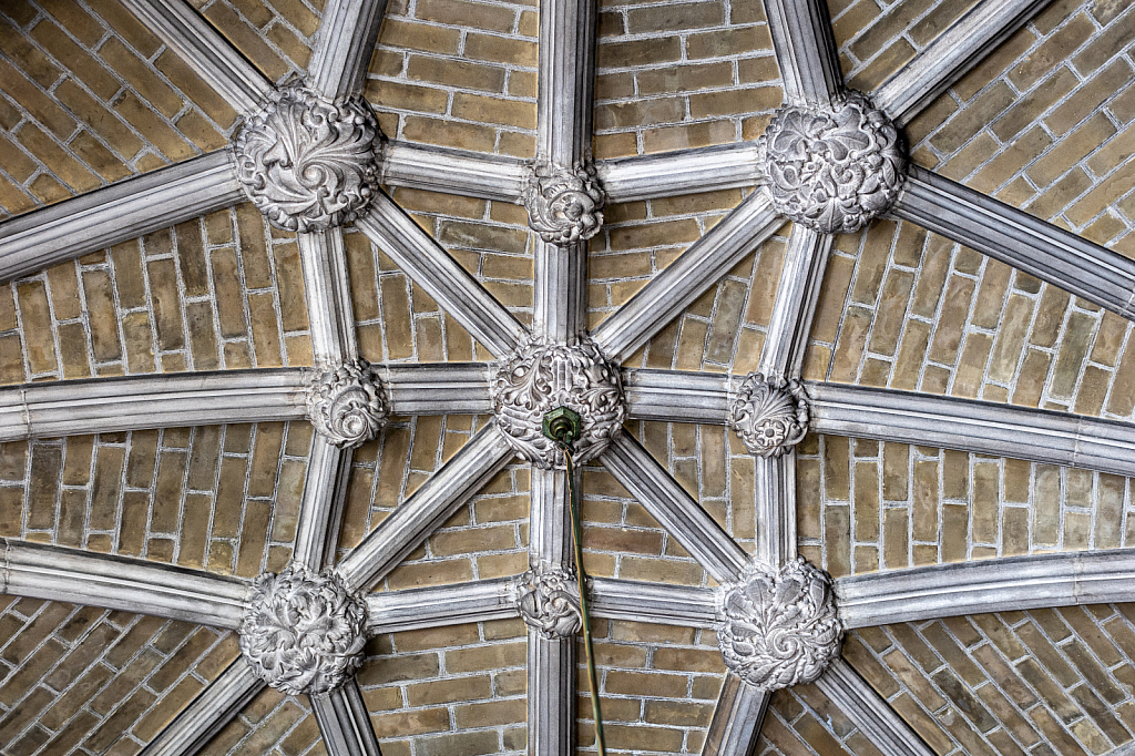 Ceiling Views