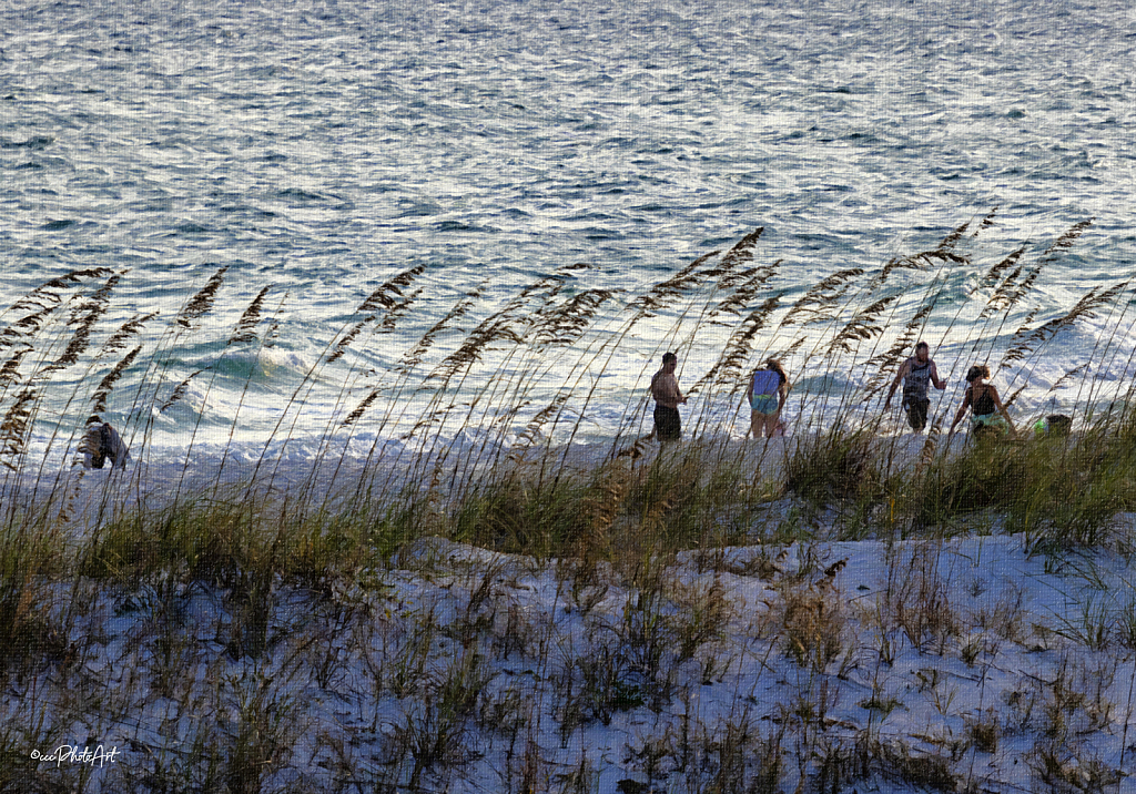 Beach Bunch - ID: 16009033 © Candice C. Calhoun