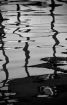Windows water ref...