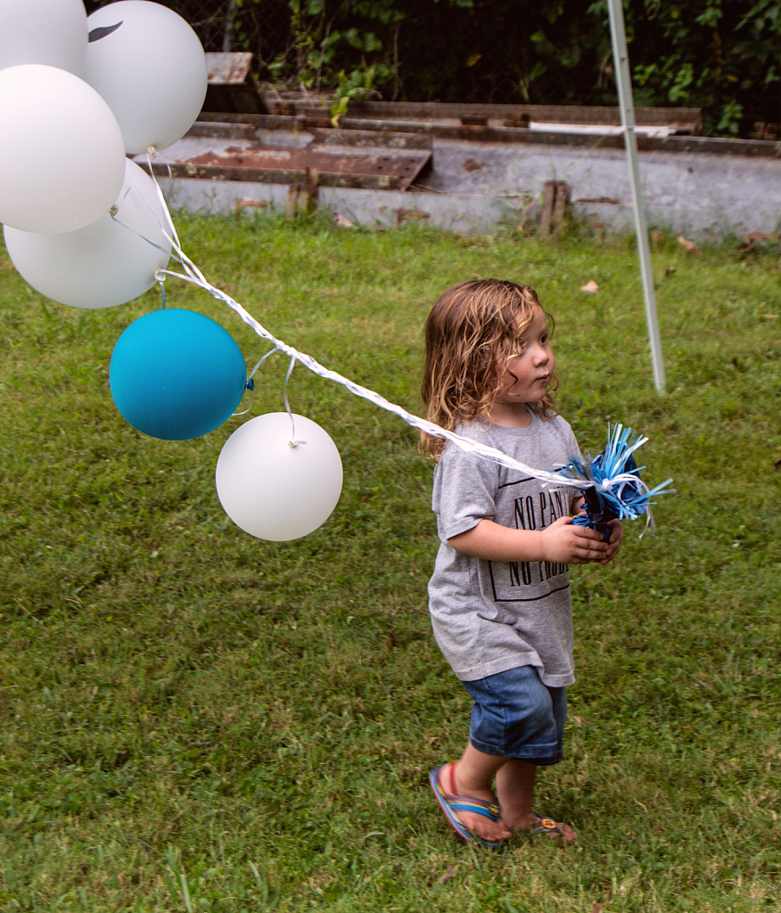 Balloon Wrangler