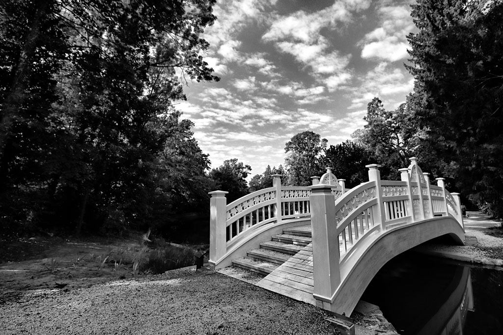 Lace Bridge