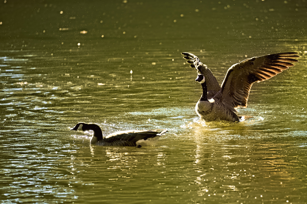 Smooth Landing