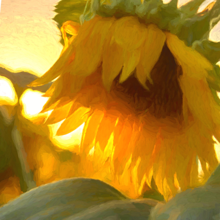 Sunny Sunflower Painting!