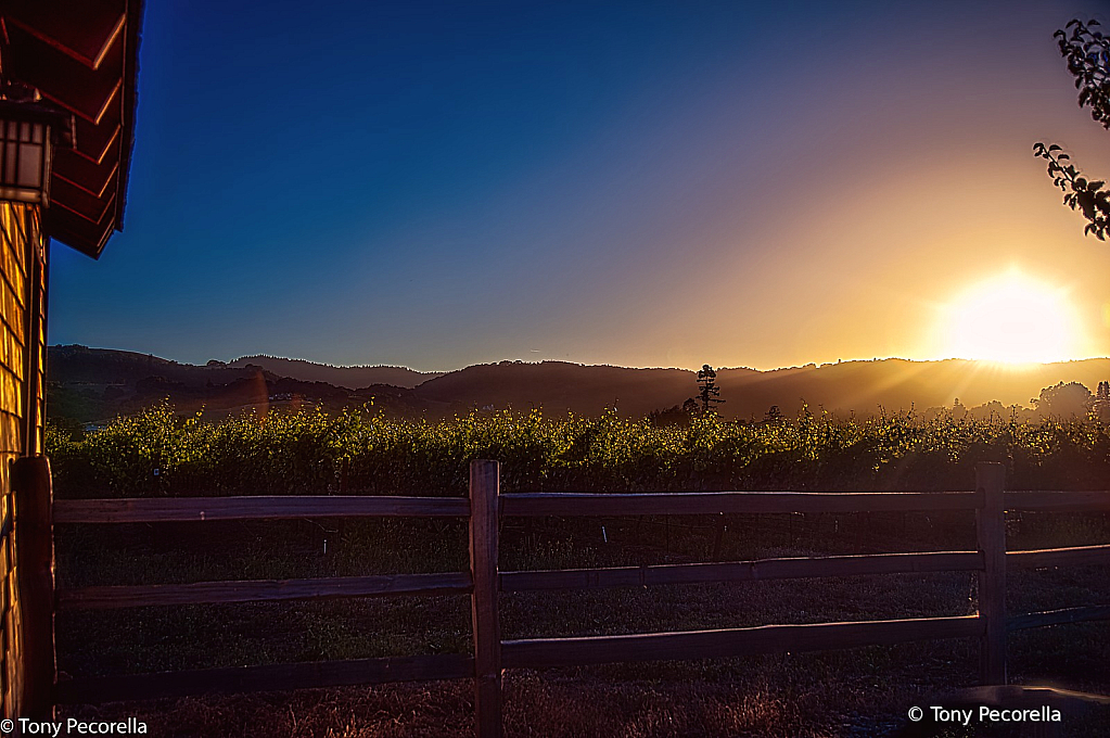 NUCLEAR ENERGY MAKING VINO - ID: 16011197 © Tony Pecorella