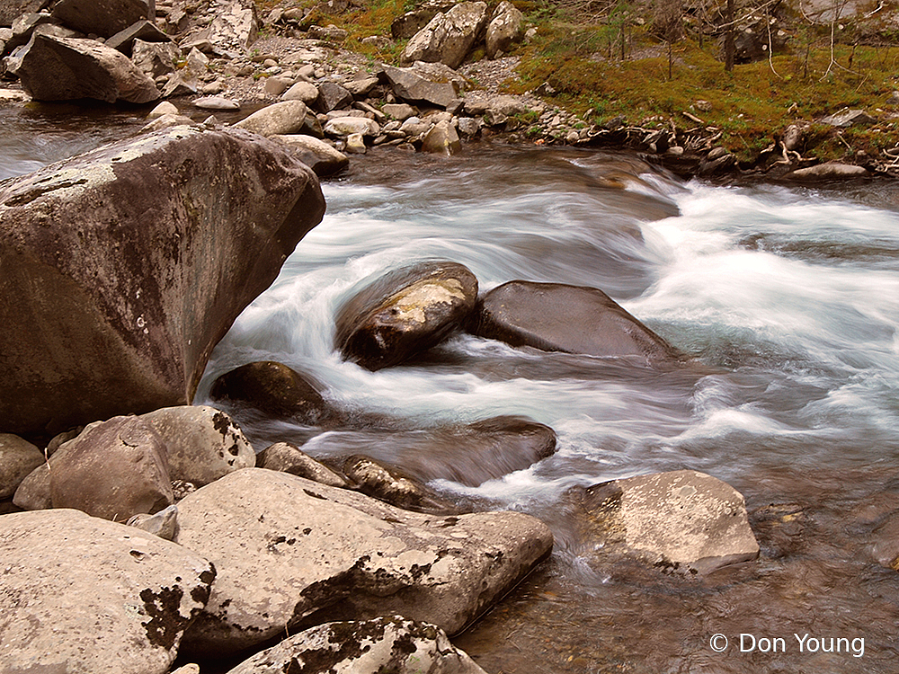 Smoky Mountain Stream