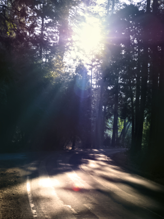Morning Light - Yosemite