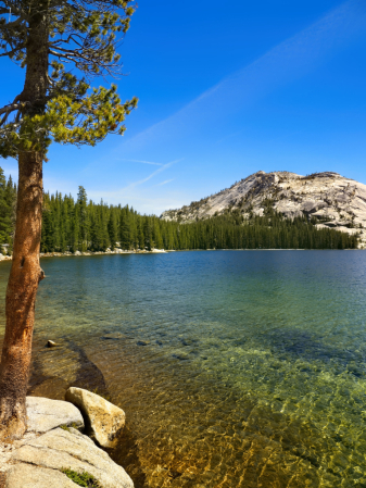 Tenaya Lake - Yosemite