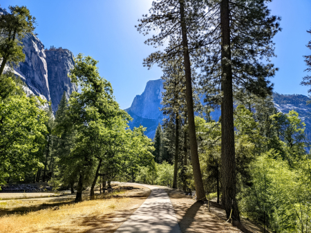 On the way to Mirror Lake - Yosemite