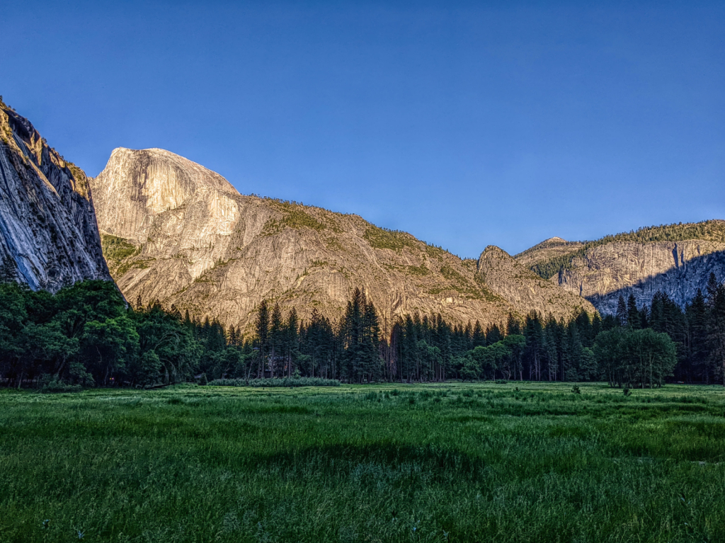 Yosemite Valley - near Ahwahnee - ID: 16011337 © Susan G. Cohan