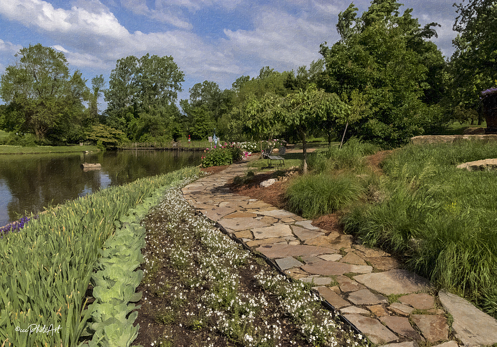 Winding Path - ID: 16012693 © Candice C. Calhoun