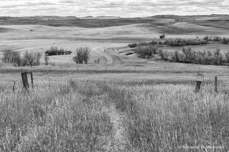 North Dakota landscape in black and white