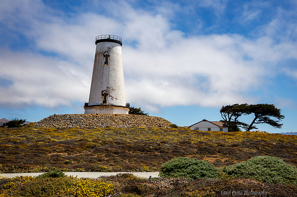 Lighthouse at Piedras Blancas