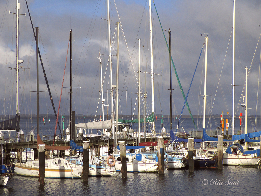 Yachts at rest.