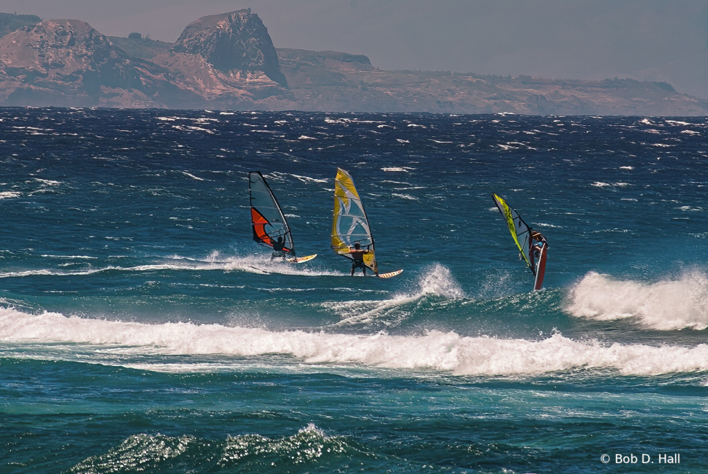 Three In The Wind