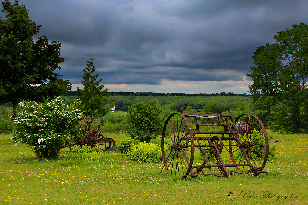 Down on the Farm