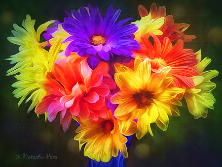 Fabulous gerbera daisies