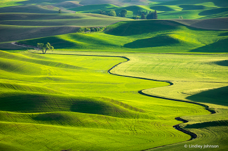 View From Steptoe Bluff in the Palouse