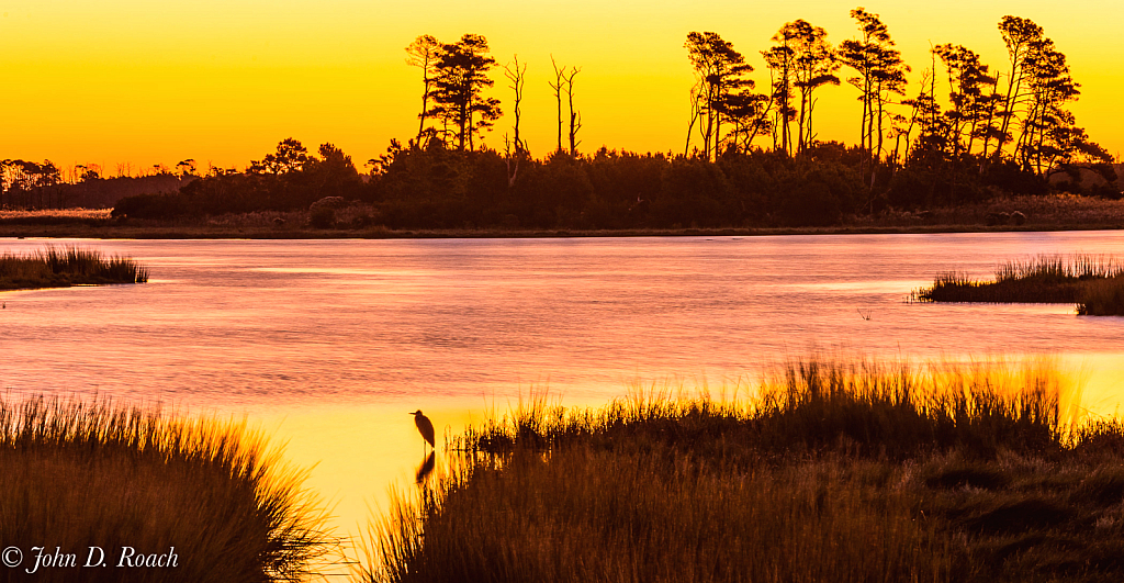 Sunrise - Chincoteague Wildlife Refuge - ID: 16014010 © John D. Roach