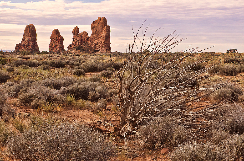 Arches Chaparral