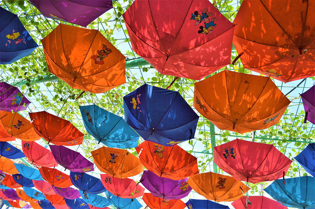 Colorful Umbrellas