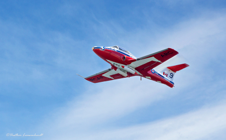 Canadian Snowbirds