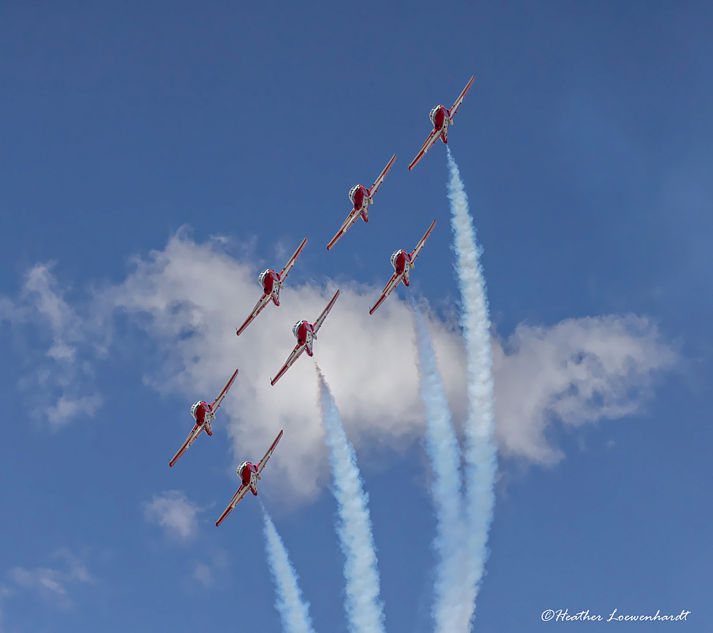 Canadian Snowbirds Formation