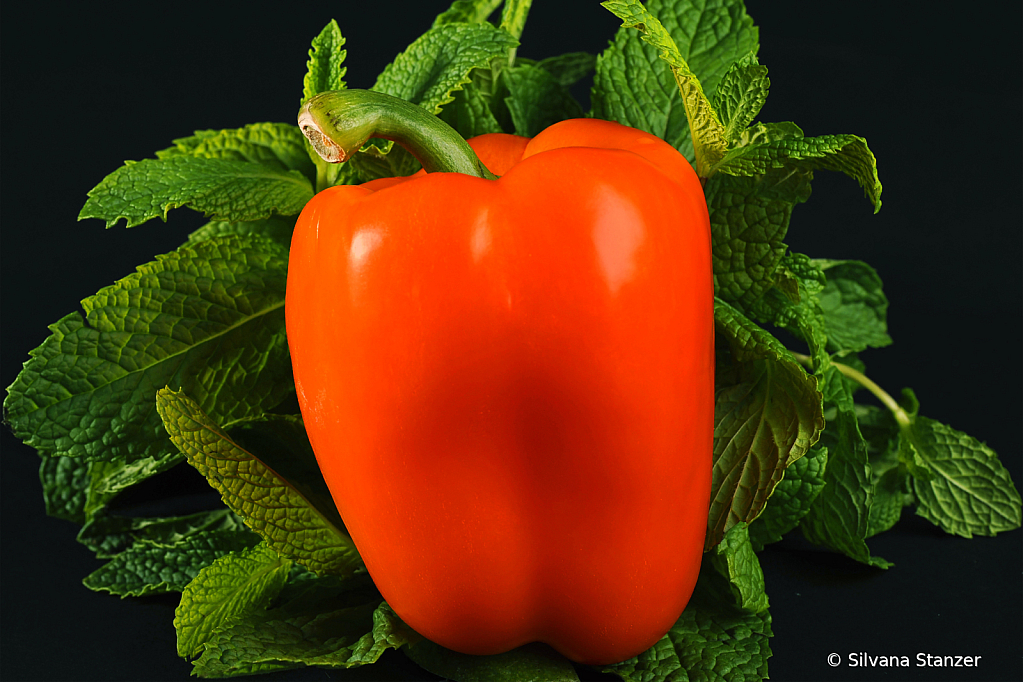 PepperMintforSlideshow - ID: 16017008 © Silvana Stanzer