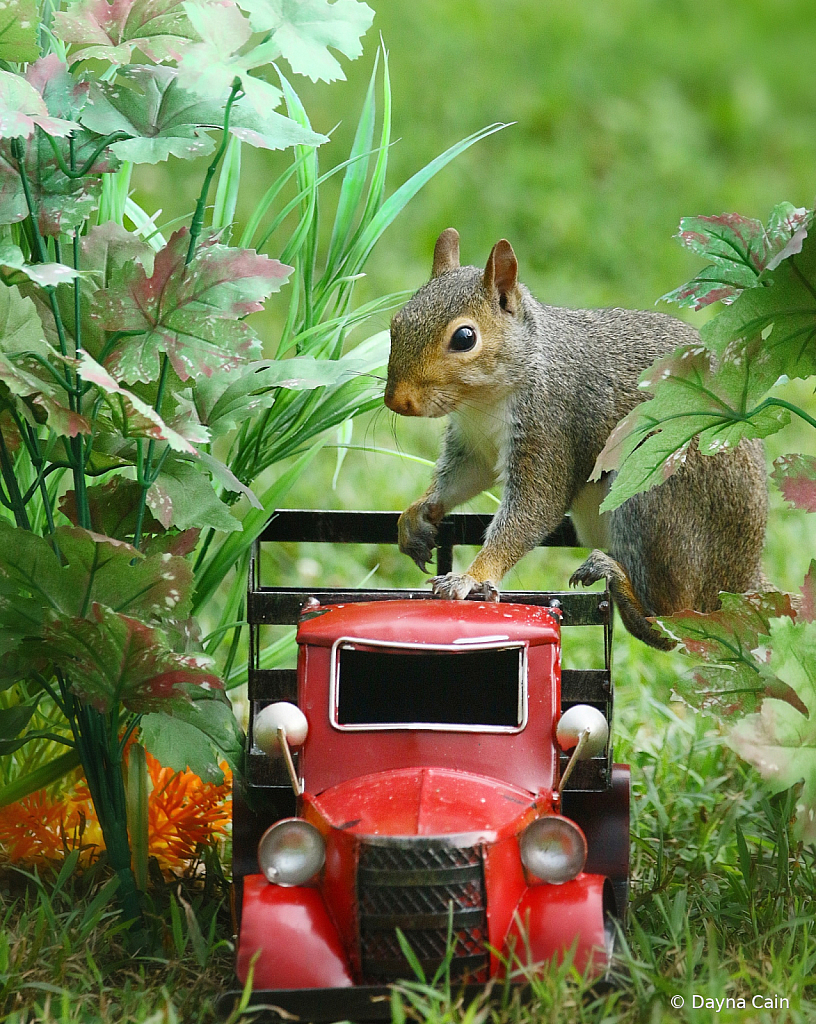 Hitching A Ride