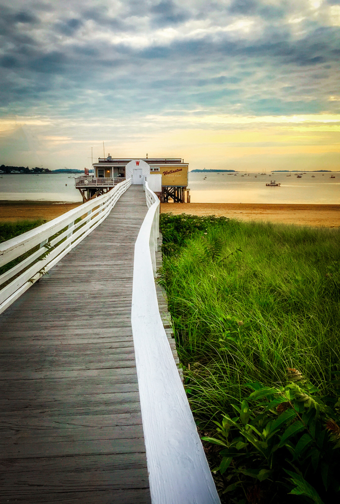 Wollaston Beach Morning