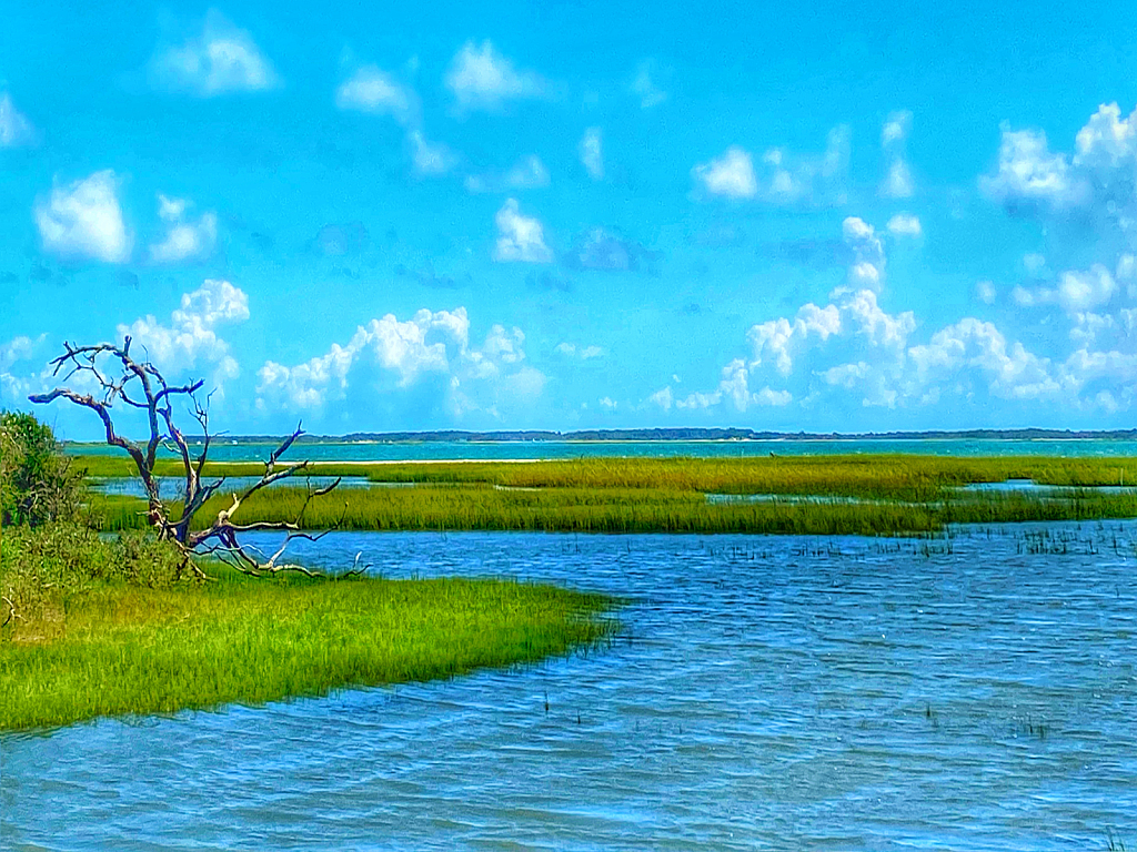 Back Sound from Taylor’s Creek, OBX