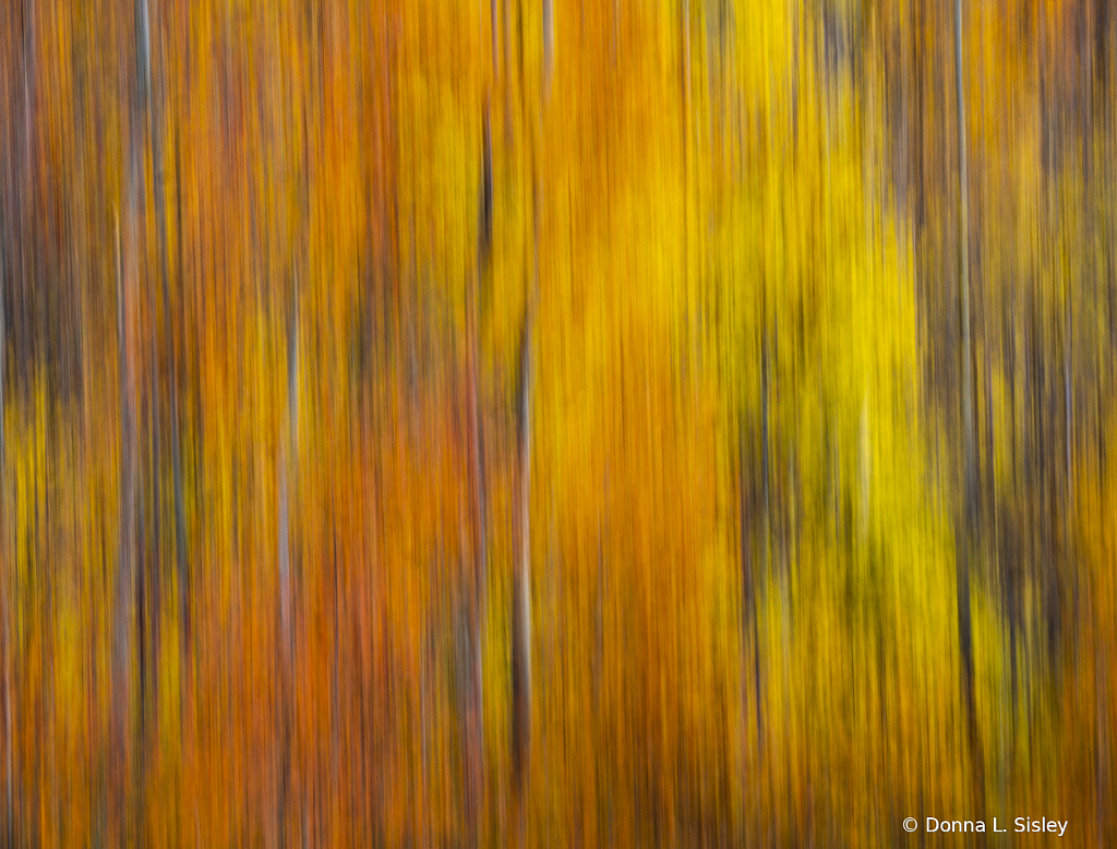FallinColoradoabstract1 - ID: 16017618 © Donna L. Sisley