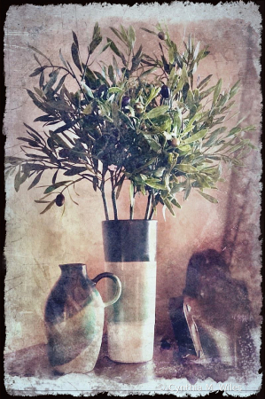 Italian Olive Branches