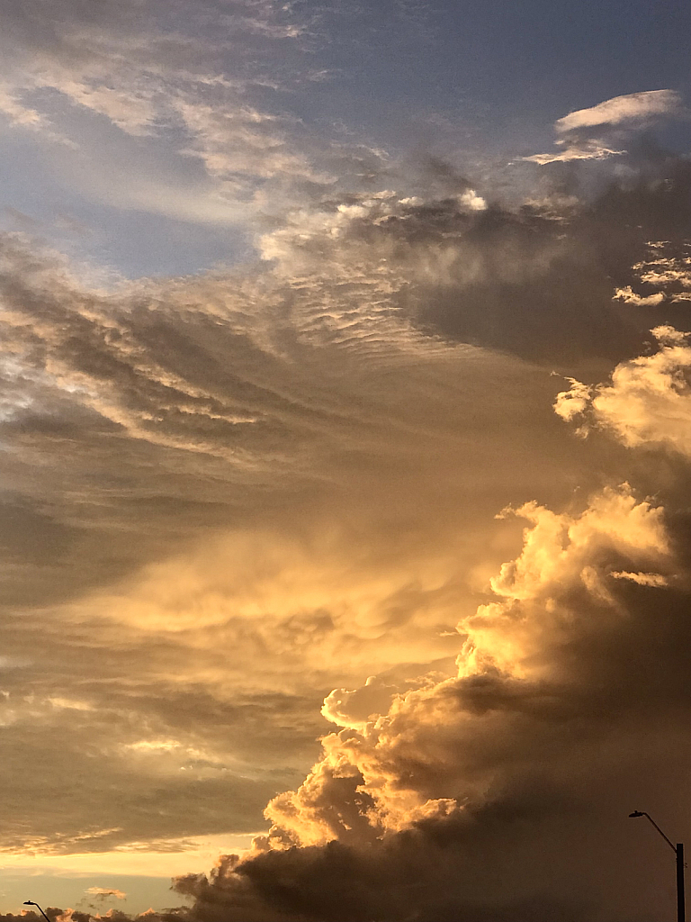 Golden Clouds - ID: 16017843 © Elizabeth A. Marker
