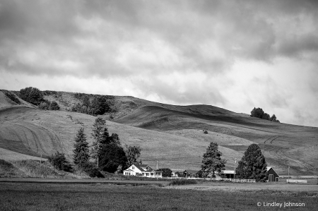 The Palouse in Black and White
